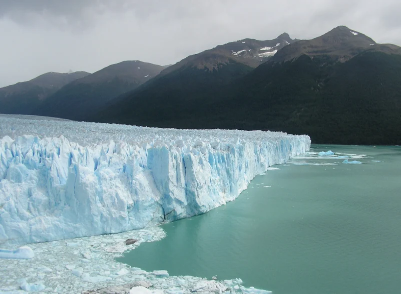 Cryoconservation. Everything you wanted to know about it but were afraid to ask.
